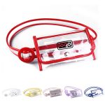 Portable Travel Clear Fanny Belt Pack