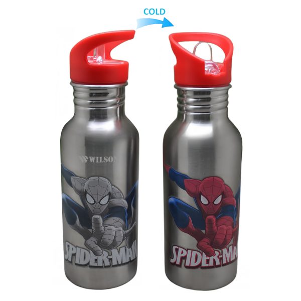 17.5oz Stainless Steel Cool Color Changing Bottle