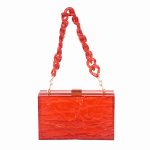 Ladies' Acrylic Dinner Handbag