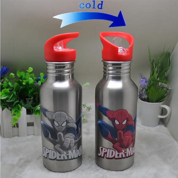 17.5oz Stainless Steel Cool Color Changing Bottle