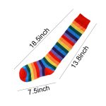 Rainbow Striped Knee High Tube Socks