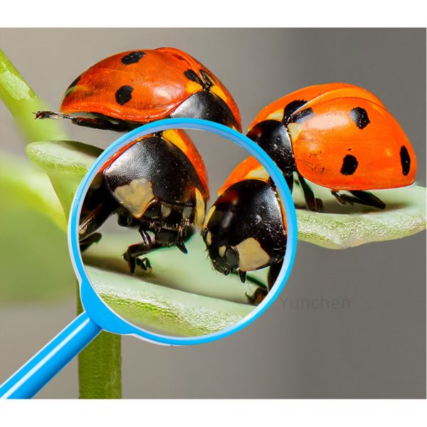 Children's Color Magnifier 60mm