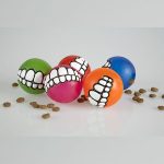 Pet Teeth Balls Dog Squeaky Toys