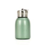 10oz Chubby Stainless Steel Vacuum Insulated Water Bottle