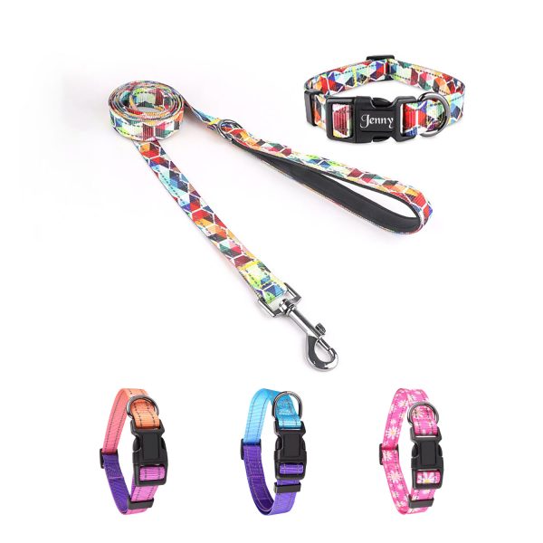 Dog Reflective Walking Leash And Collar Set