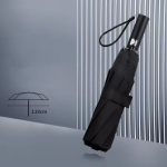 Folding Umbrella