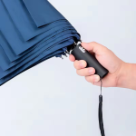 Folding Umbrella