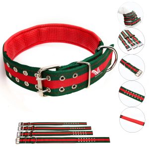 Quality Reliable Pet Two-Color Splicing Dog Collar