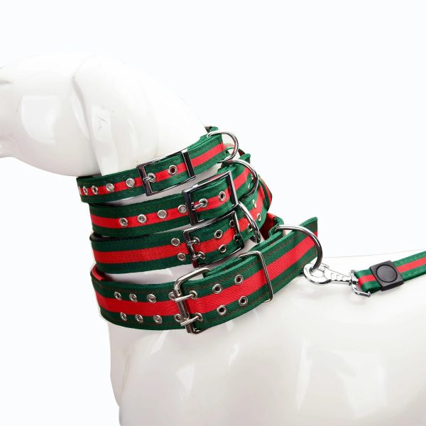 Quality Reliable Pet Two-Color Splicing Dog Collar