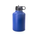 Vacuum Insulated Water Bottle with Straw Lid