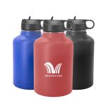 Vacuum Insulated Water Bottle with Straw Lid