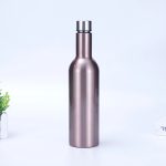 Stainless Steel Insulated Wine Bottle