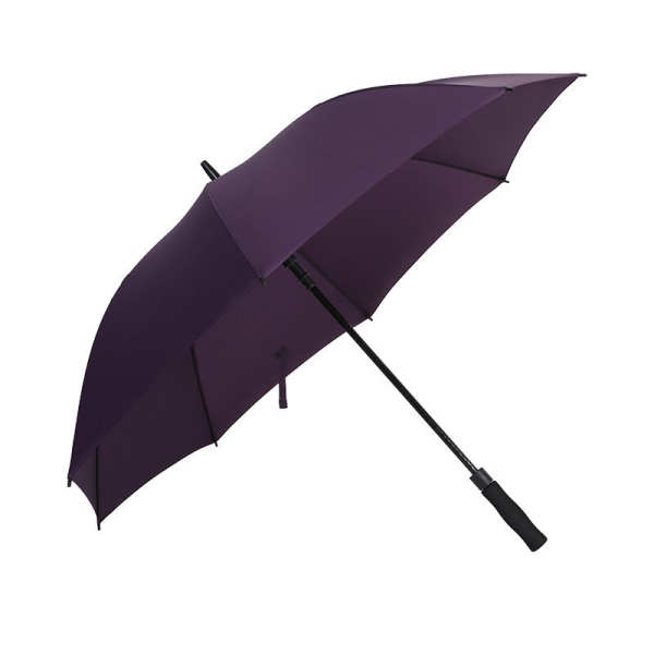 Automatic umbrella