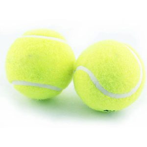 Professional Tennis Training