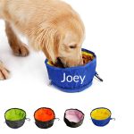 Large Collapsible Dog Bowl