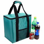 Non Woven Cooler Bag