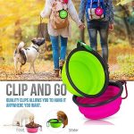 Collapsible Silicone Pet Bowls