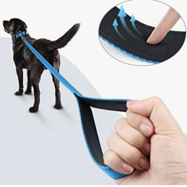 5 'Double Reflective Leash Nylon Leather Strap