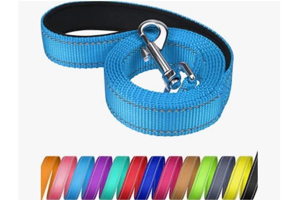 5 'Double Reflective Leash Nylon Leather Strap