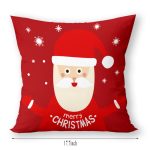 Throw Pillow Cover