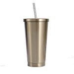 Insulated Stainless Steel Water Bottles With Straw