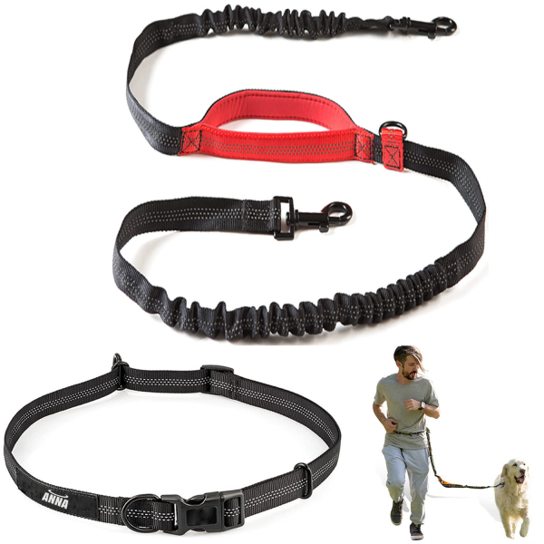 Adjustable Belt With Retractable Bungee Leash