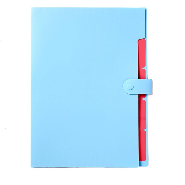 Expandable Folder With Dividers School