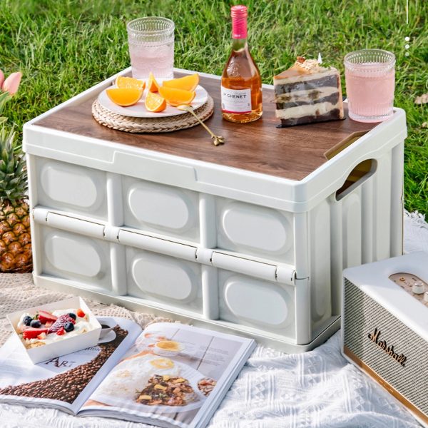 Storage Bins With Lids Collapsible