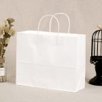 Clothing/Coffee/Gift/Food Delivery Kraft Paper Carry Bags