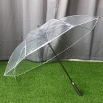 Clear Umbrella