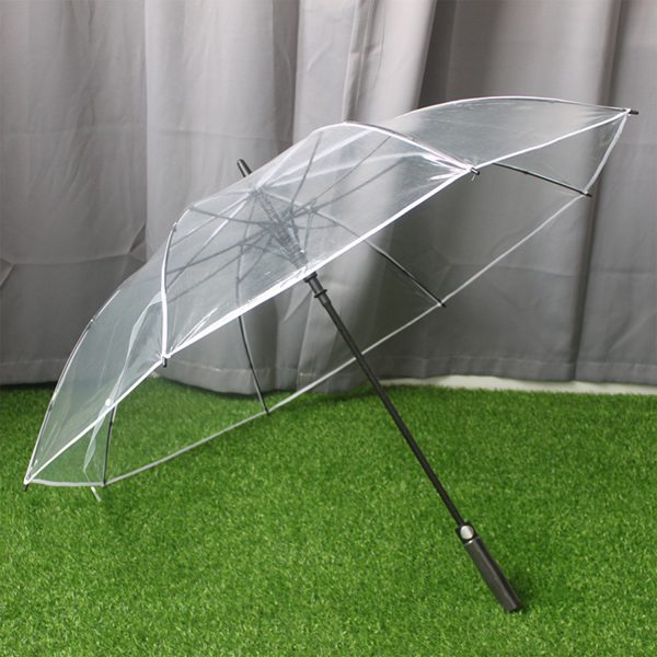 Clear Umbrella