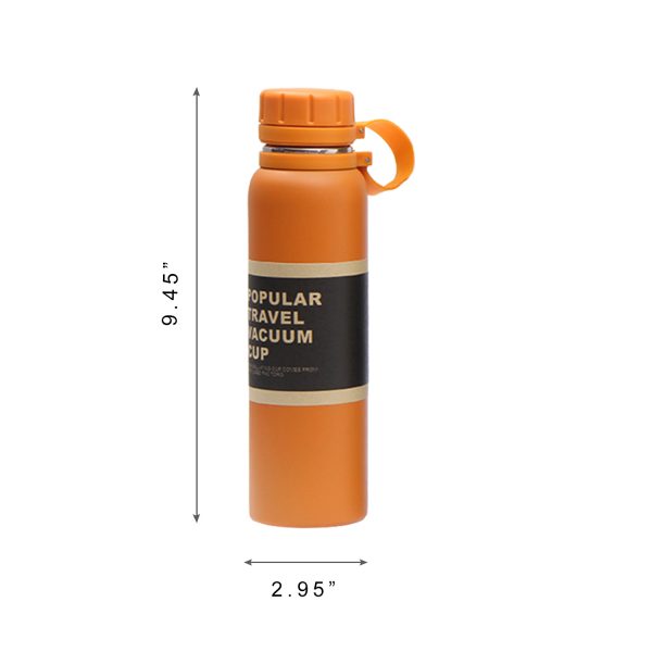 22 Oz. Portable Sports Water Bottle