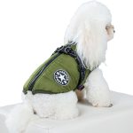 Cotton-Padded Dog Vest