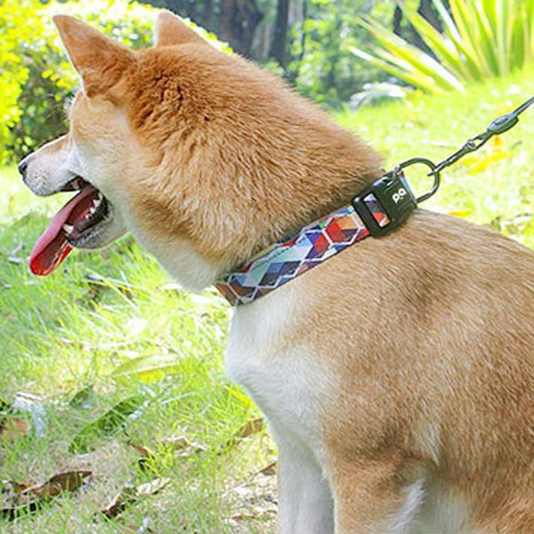 Dog Reflective Walking Leash And Collar Set