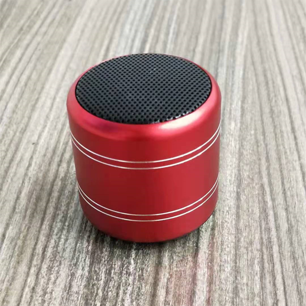 Mini Bluetooth Speaker