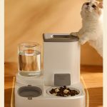 Cat And Dog Two In One Water Dispenser Automatic Feeder