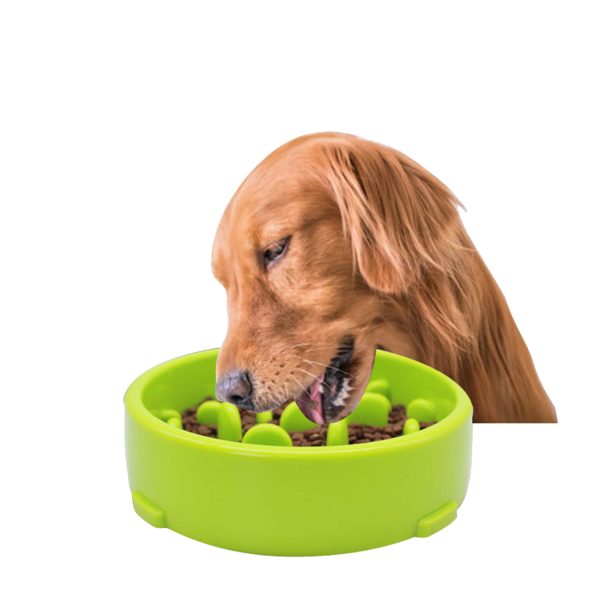 ABS Pet Non-Slip Slow Feeder Interactive Bowl