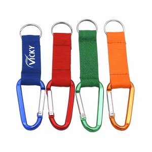 Keychain with Carabiner