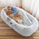 Human & Pet Dog Bed