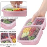 Compartment Wheat Straw lunch Box