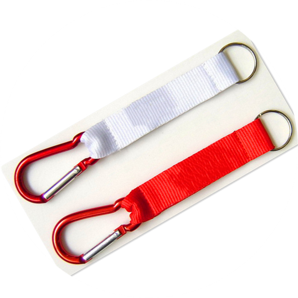 Keychain with Carabiner