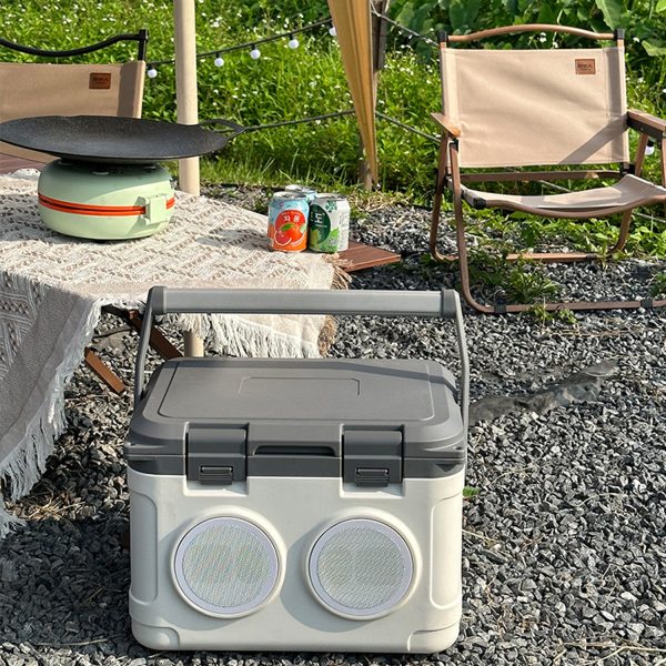 13L New Car Portable Picnic Food Ice Refrigeration Box