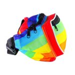 Outdoor Sports Men's Colours Rainbow Waist Fanny Pack