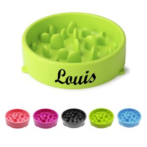 ABS Pet Non-Slip Slow Feeder Interactive Bowl