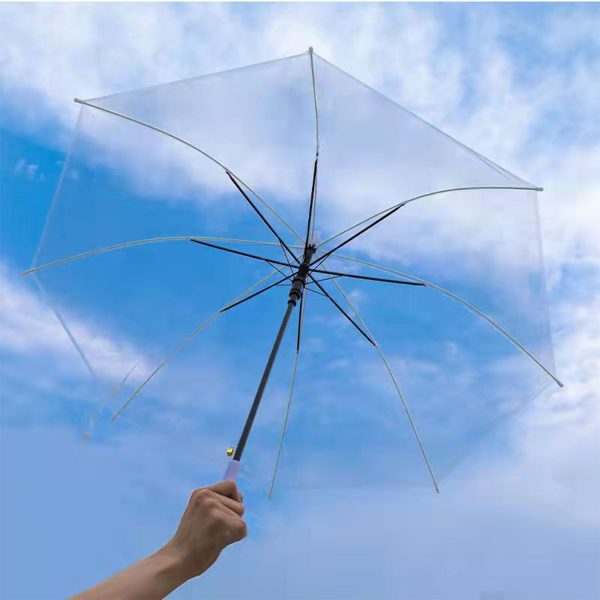 Clear Umbrella