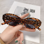 Tortoiseshell glasses