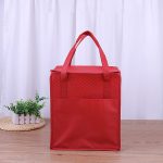 NON Woven Cooler Bag