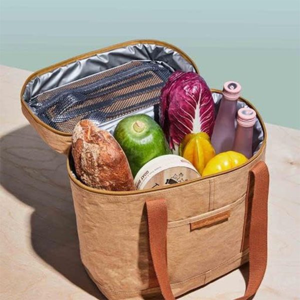 Dupont paper tote cooler bag