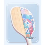 Single Pickleball Paddle