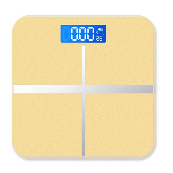 Intelligent Electronic Weight Scale